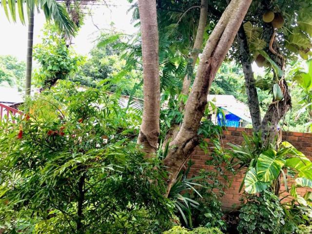 The Venue Hotell Phu Quoc Exteriör bild