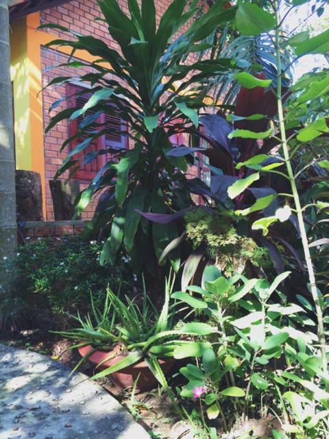 The Venue Hotell Phu Quoc Exteriör bild